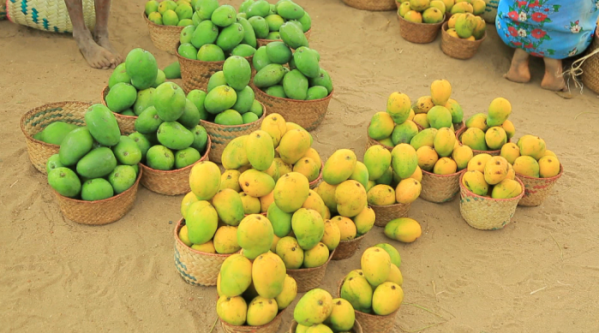 ▲'세계테마기행' 마다가스카르(사진제공=EBS)