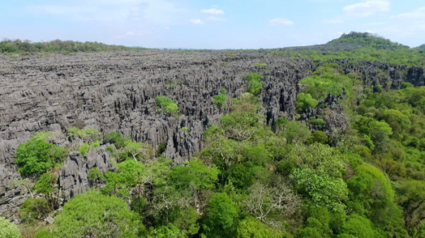 ▲'세계테마기행' 마다가스카르(사진제공=EBS)