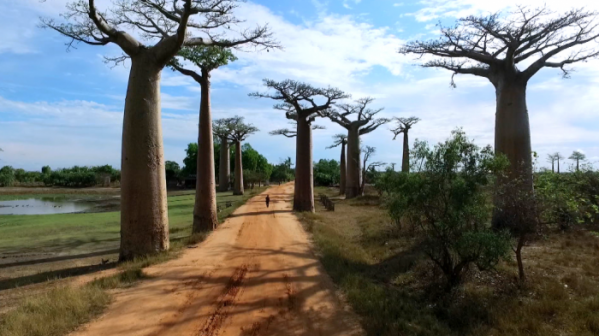 ▲'세계테마기행' 마다가스카르(사진제공=EBS)