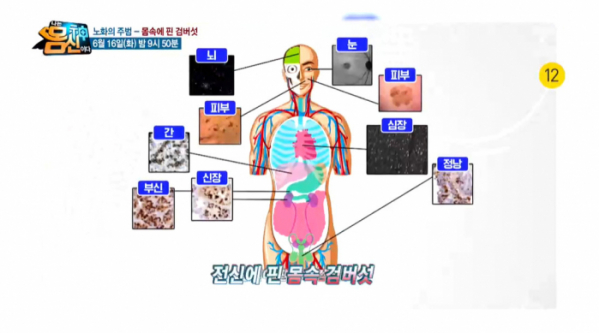 ▲‘나는 몸신이다’(사진제공=채널A)