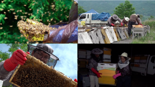 ▲'극한직업' 양봉(사진제공=EBS1)