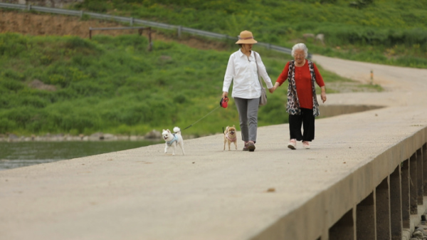 ▲'나는 아픈개와 산다'(사진제공=KBS2)