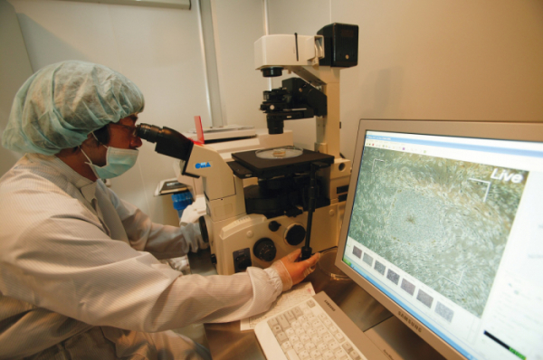 ▲차바이오텍 연구원이 현미경으로 줄기세포의 상태를 살펴보고 있다.  (차바이오텍)