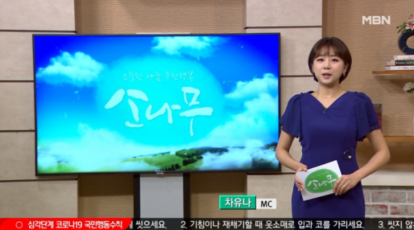 ▲MBN '소나무' (사진제공=MBN)