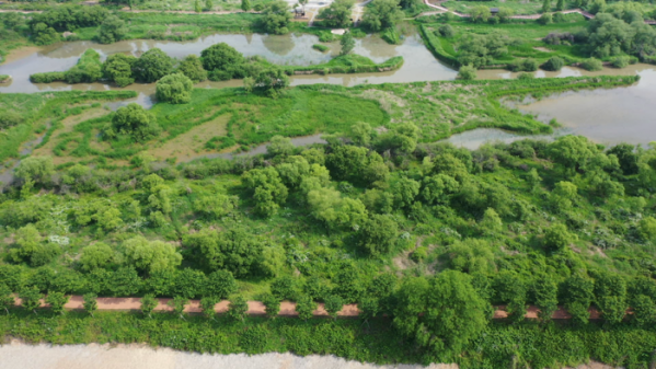 ▲'김영철의 동네 한 바퀴' 화포천 습지 생태공원 (사진제공=KBS 1TV)