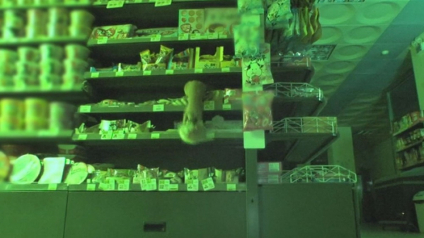 ▲'TV 동물농장–우린 같이 산다'(사진제공=SBS)