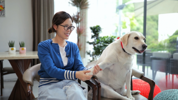 ▲'나는 아픈 개와 산다'(사진제공=KBS 2TV)