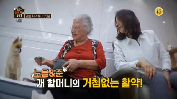 ▲'나는 아픈 개와 산다' 서이숙(사진제공=KBS 2TV)