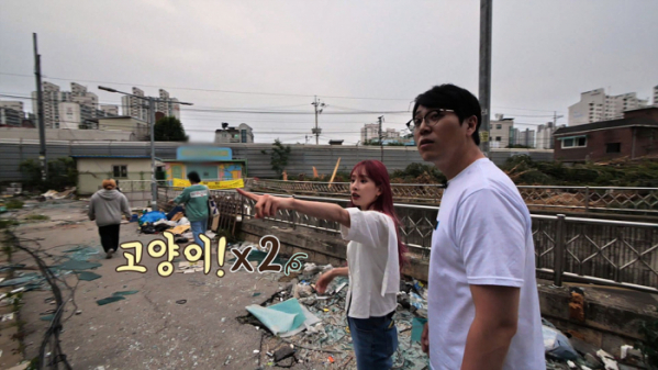 ▲'고양이를 부탁해'(사진제공=EBS1)