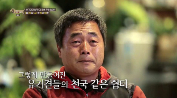 ▲'세상에 나쁜 개는 없다' 군산유기동물보호소(사진제공=EBS1)