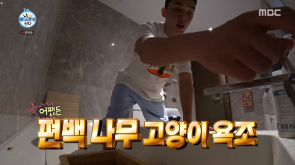 ▲스핑크스고양이 편백나무 욕조(사진=MBC '나 혼자 산다' 방송화면 캡처)