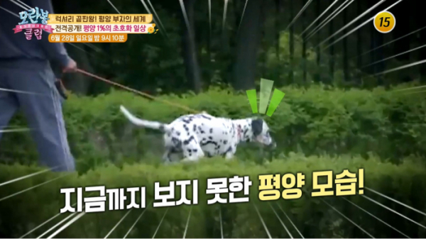 ▲'모란봉클럽'(사진제공=TV조선)