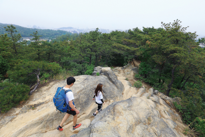 (장보영 객원기자 )