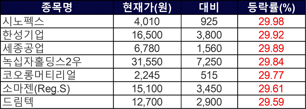 ▲13일 상한가 종목들. (자료제공=한국거래소)