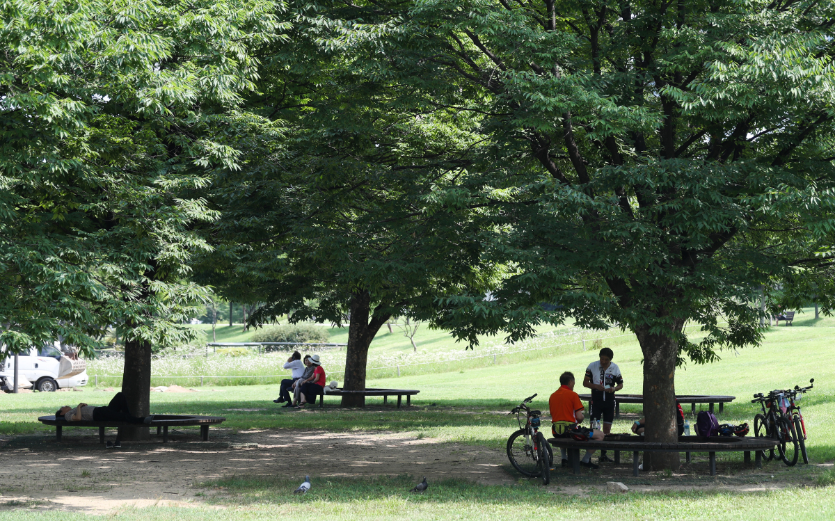 ▲전국 곳곳에 폭염주의보가 발효되는 등 한여름 날씨가 이어지는 9일 서울 여의도 한강공원에 시민들이 나무 그늘에서 햇살을 피하고 있다. (연합뉴스)
