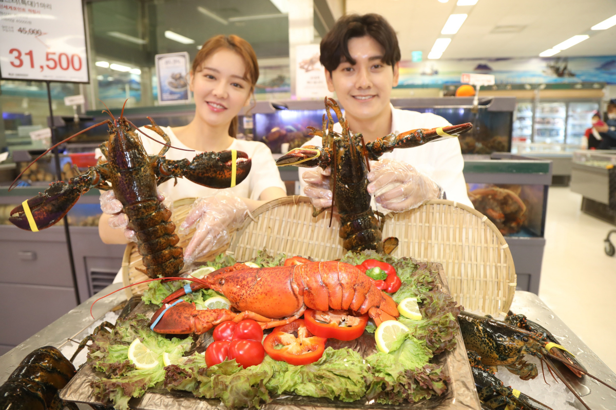 ▲16일 오전 이마트 용산점에서 모델들이 대형 활 랍스터를 선보이고 있다
(사진제공=이마트)