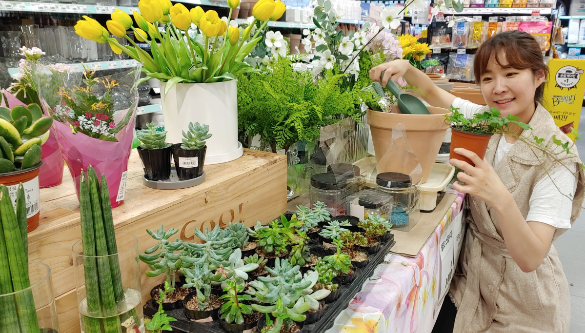 ▲홈 가드닝을 통해 정서적 안정감 얻으려는 고객이 늘면서 관련 제품의 매출의 신장세가 두드러지고 있다. (사진제공=롯데마트)