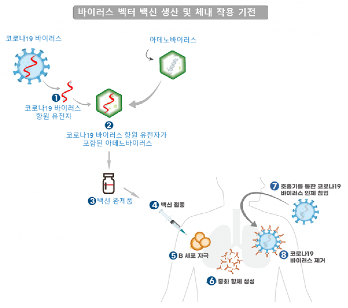 (자료제공=식품의약품안전처)