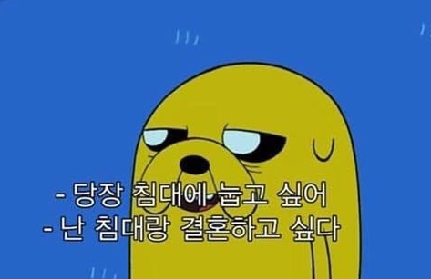 (출처 : 핀과 제이크의 어드벤쳐 타임)