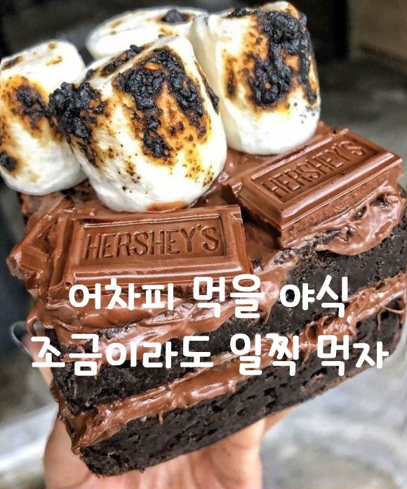 (출처=인터넷커뮤니티)