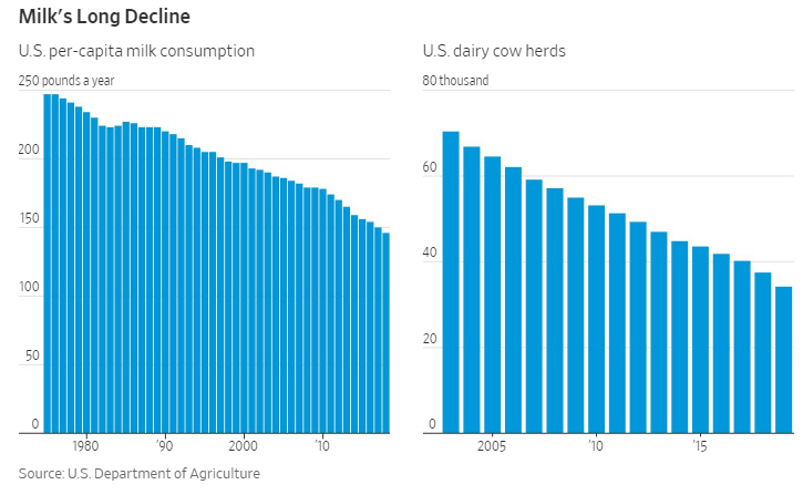 ▲미국의 1인당 우유 소비량과 미국의 젖소 규모. 출처 WSJ