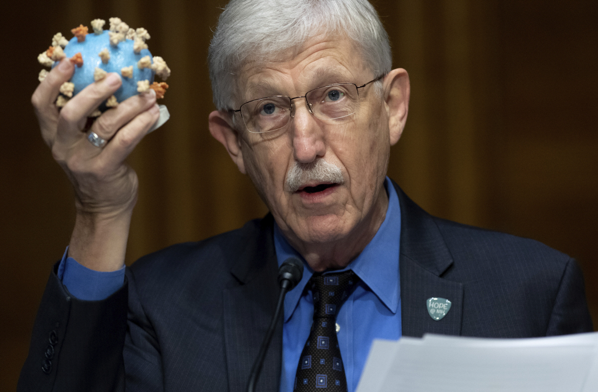 ▲미국 국립보건원(NIH)의 프랜시스 콜린스 원장이 2일(현지시간) 코로나19 바이러스 모형을 들어 보이고 있다. 워싱턴/AP연합뉴스
