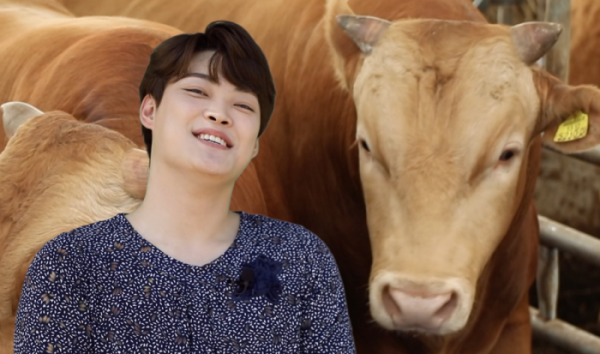 ▲'6시 내고향' (사진제공=KBS 1TV)