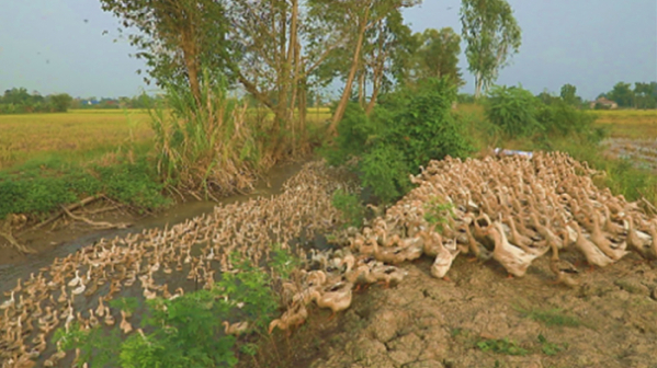 ▲'EBS 세계테마기행' 베트남ㆍ라오스(사진제공=EBS1)