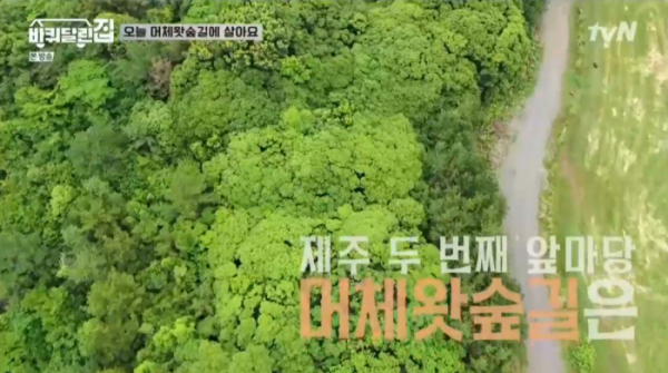 ▲'머체왓숲길'(사진제공=tvN)