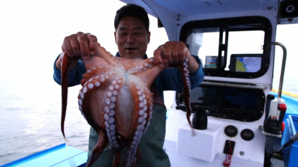 ▲'한국인의 밥상' 피문어(사진제공=KBS 1TV)