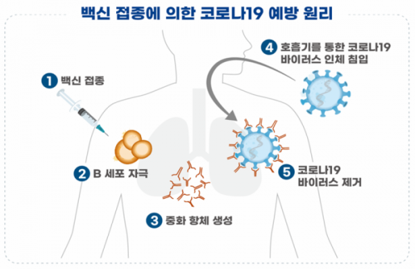 (자료제공=식품의약품안전처)