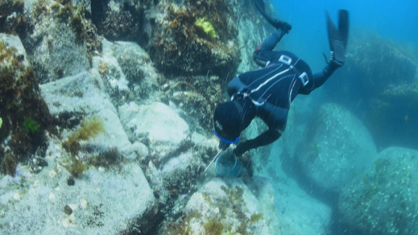 ▲EBS '한국기행' 섭(사진제공=EBS1)