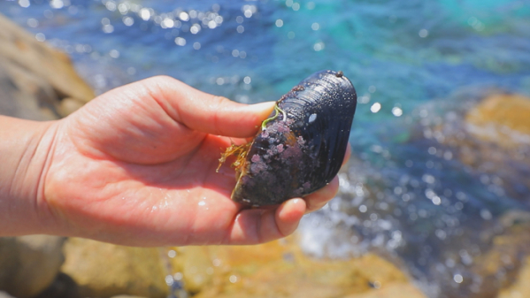 ▲EBS '한국기행' 섭(사진제공=EBS1)