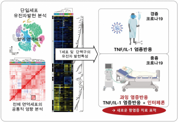 ▲단일세포 유전자발현 분석 기법 개념도 (한국과학기술원 제공)