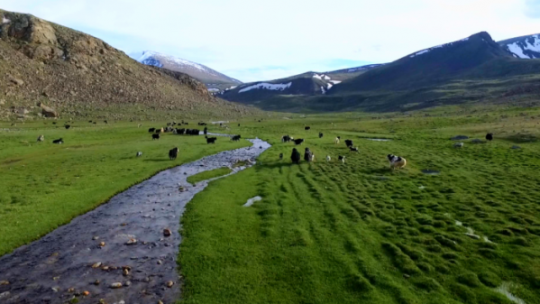 ▲EBS'세계테마기행'(사진제공=EBS1)