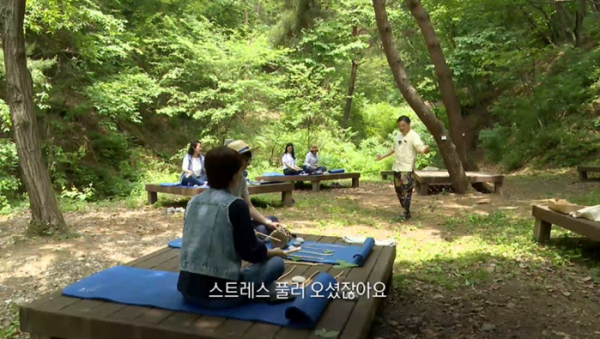 ▲'생로병사의 비밀' 숲(사진제공=KBS 1TV)