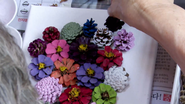 ▲'생로병사의 비밀' 숲(사진제공=KBS 1TV)