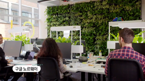 ▲'생로병사의 비밀' 숲(사진제공=KBS 1TV)