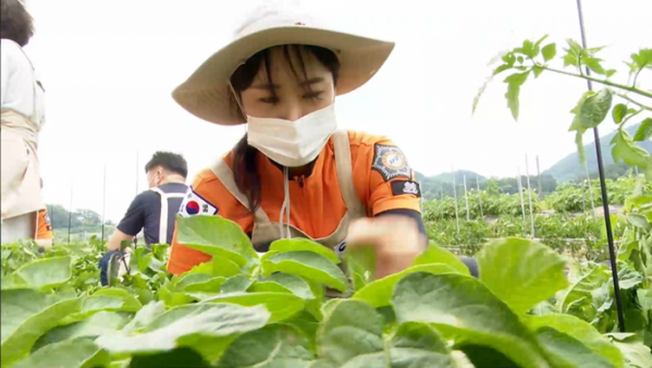 ▲'생로병사의 비밀' 숲(사진제공=KBS 1TV)