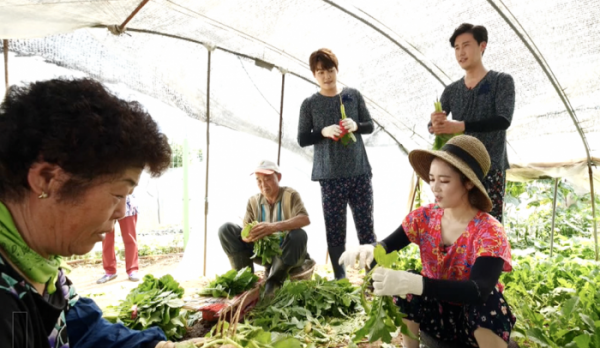 ▲'6시 내고향' 가애란 아나운서(사진제공=KBS 1TV)