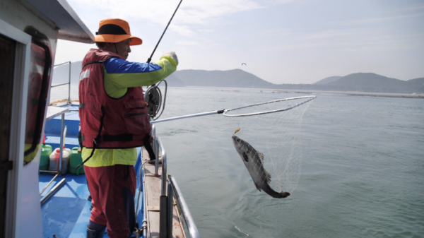 ▲'한국인의 밥상' 소난지도(사진제공=KBS 1TV)