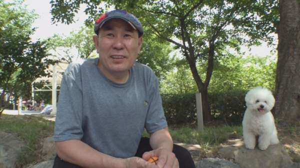 ▲'순간포착 세상에 이런 일이' 비숑 프리제 미미(사진제공=SBS)