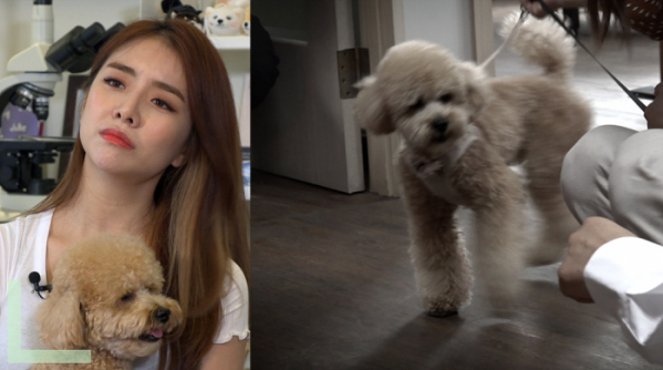 ▲‘세상에 나쁜 개는 없다’ 설하윤 반려견 푸딩이(사진제공=EBS1)