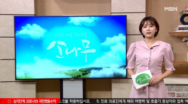 ▲MBN '소나무'(사진제공=MBN)