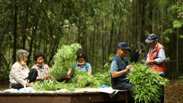 ▲'김영철의 동네 한 바퀴' 구룡마을 대나무숲(사진제공=KBS 1TV)