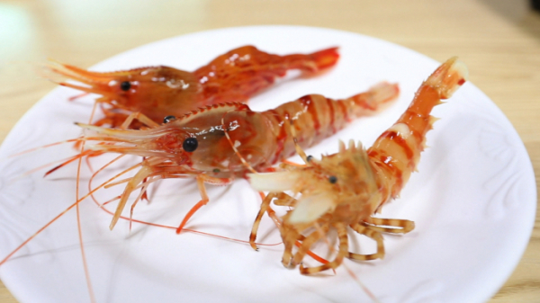 ▲EBS'한국기행' 독도새우(사진제공=EBS1)