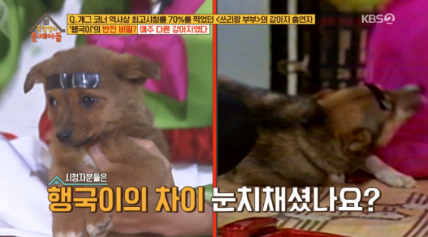 ▲쓰리랑부부 행국이(사진=KBS2 '옥탑방의 문제아들' 방송화면 캡처)