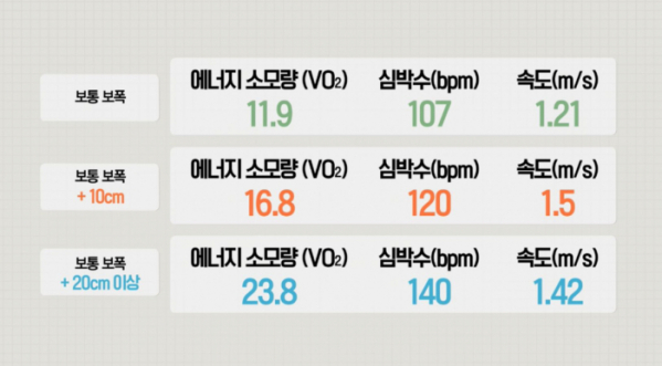 ▲'걸음아 나 살려라' 앱 '생로병사의 비밀'(사진제공=KBS1)