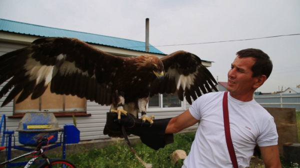 ▲EBS'세계테마기행' 알타이(사진제공=EBS1)