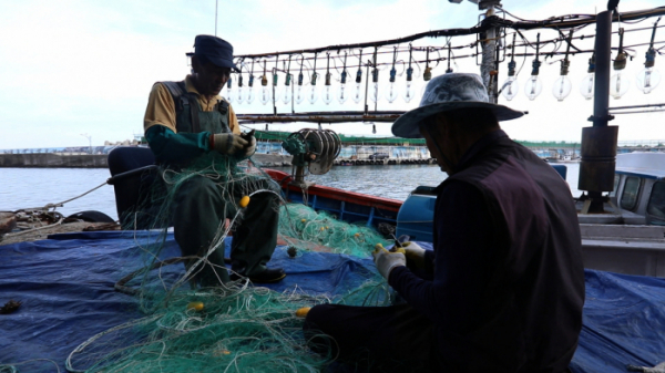 ▲EBS'한국기행' 울릉도 오징어(사진제공=EBS1)